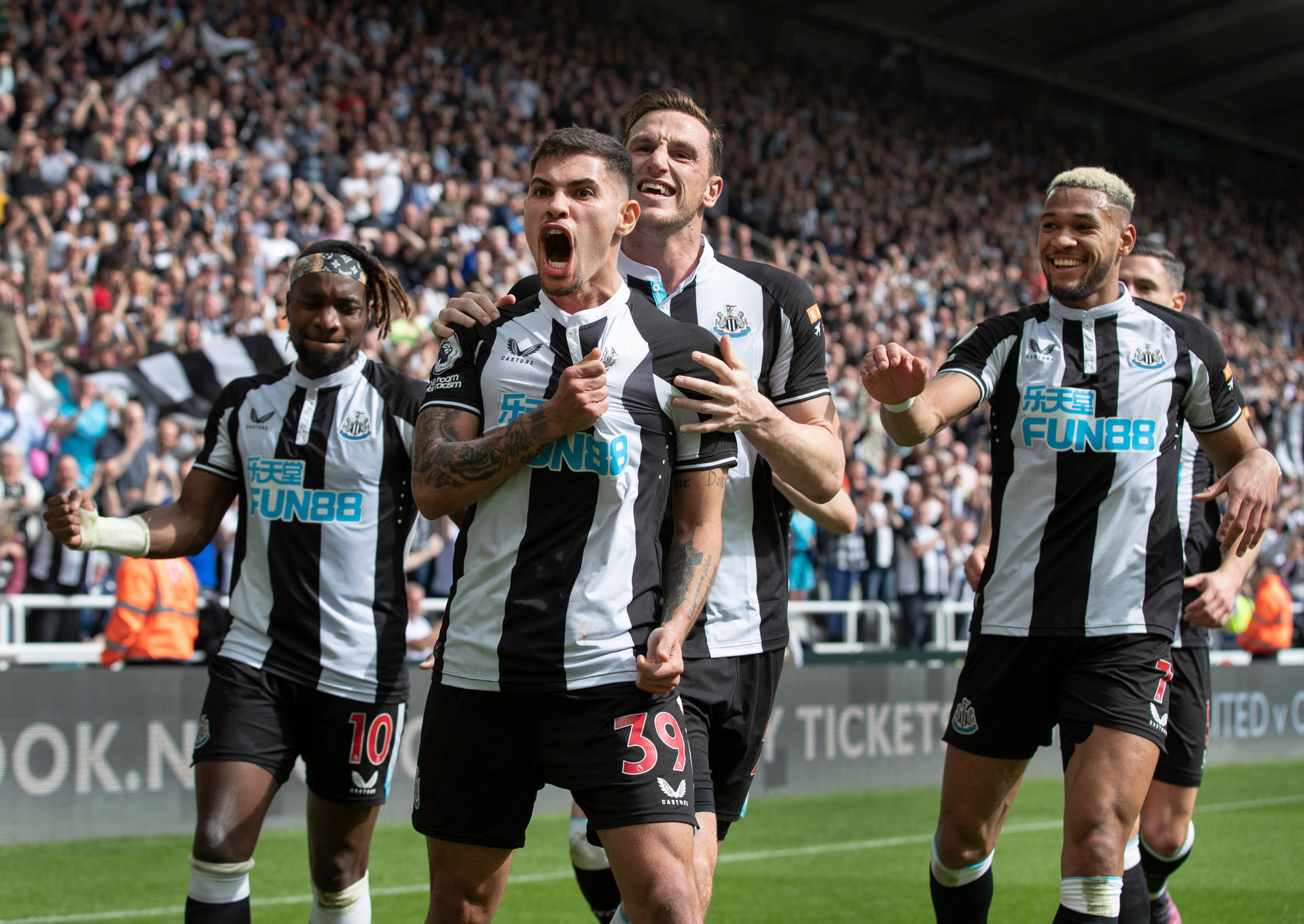 Newcastle United: Lịch Sử Hào Hùng và Những Trang Sử Vàng Của “Chích Chòe”