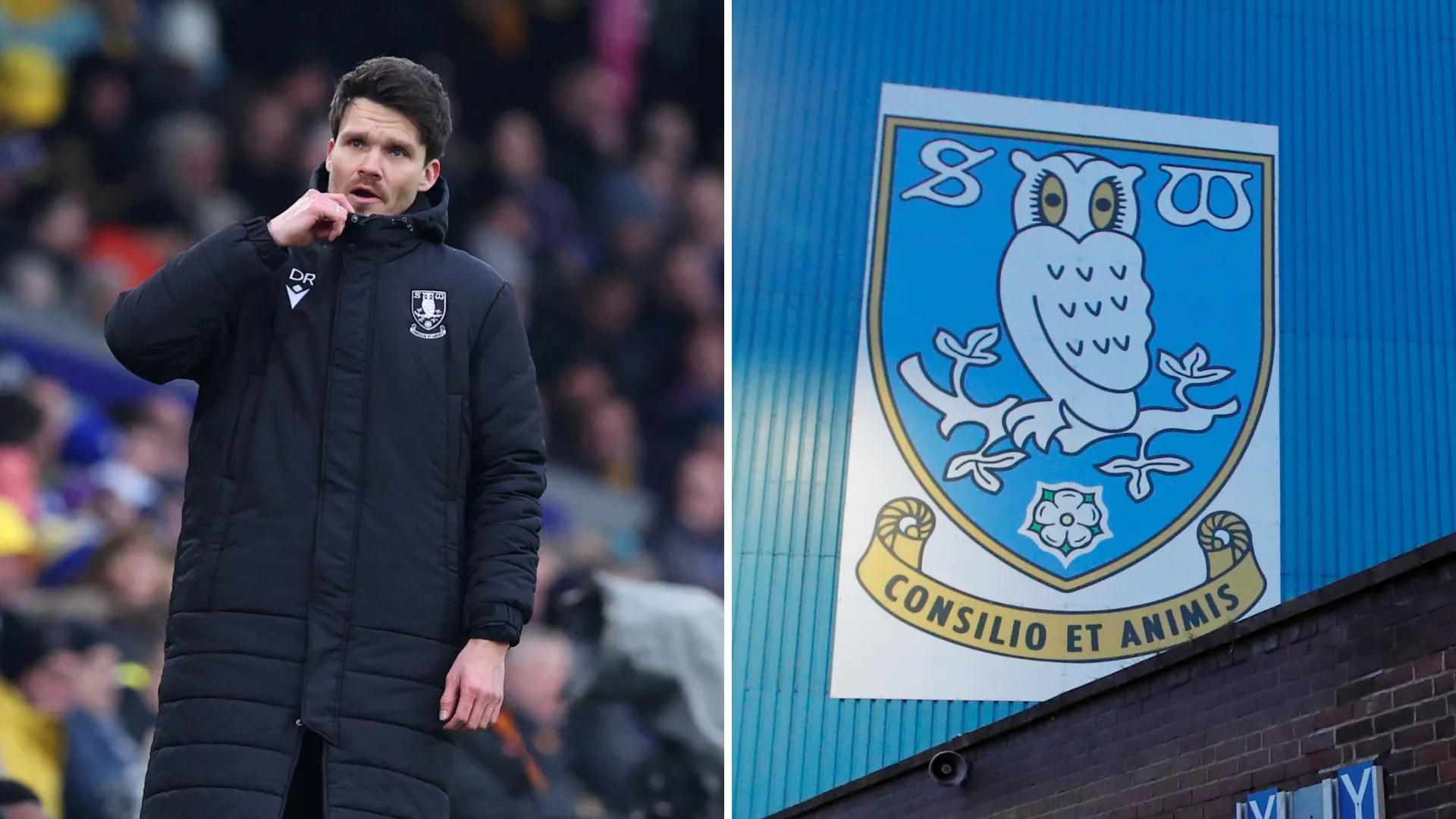 Danny Röhl trong một buổi tập cùng Sheffield Wednesday